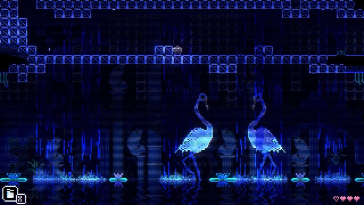 Dunkey Bigmode's Animal Well