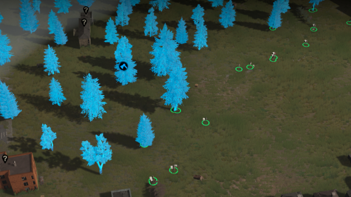 Infection Free Zone Gathering Wood